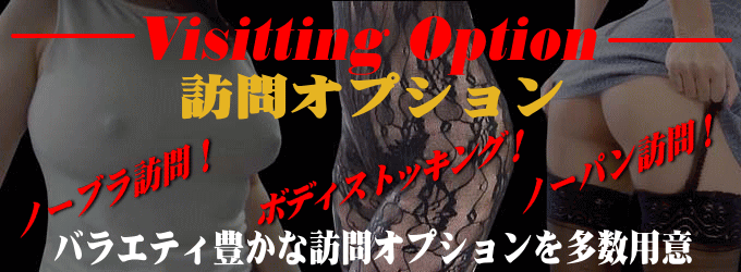 訪問オプションバナー